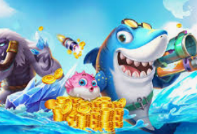 kiayun网页版电脑免费版